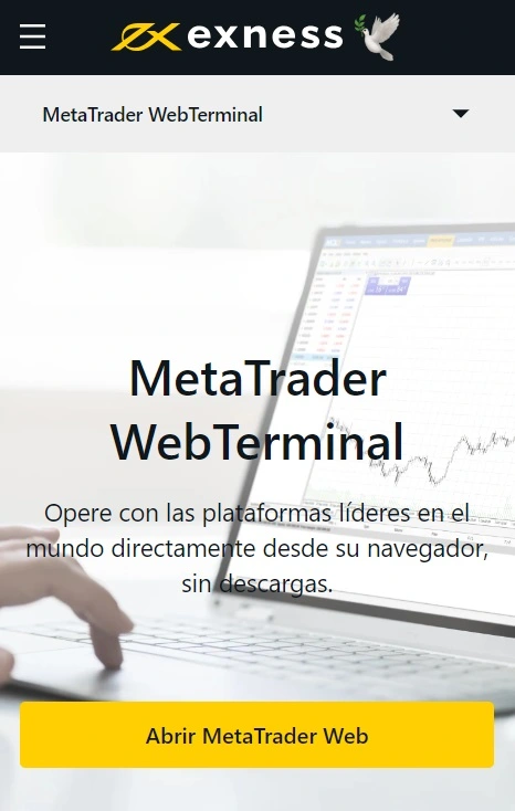 Exness MetaTrader WebTerminal.