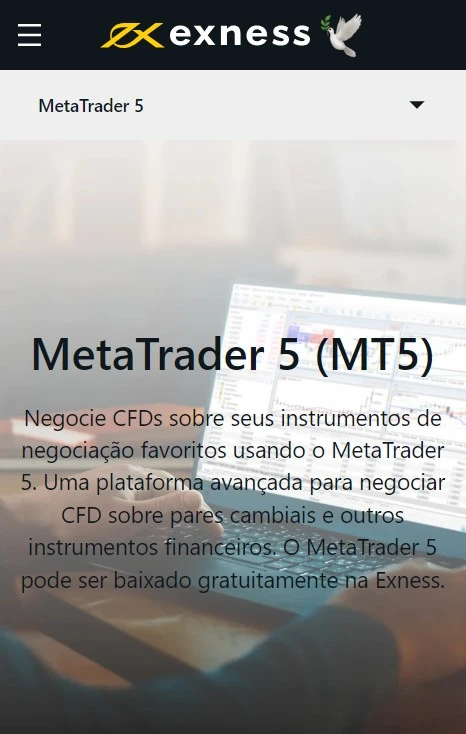 Exness MetaTrader 5 (MT5).